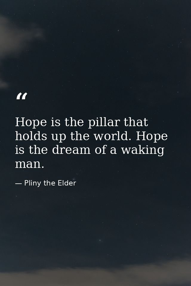 Hope is the pillar that holds up the world. Hope is the dream of a waking man. — Pliny the Elder