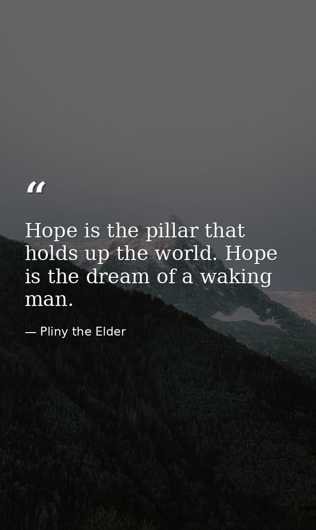 Hope is the pillar that holds up the world. Hope is the dream of a waking man. — Pliny the Elder