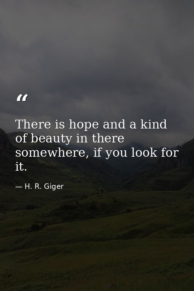 There is hope and a kind of beauty in there somewhere, if you look for it. — H. R. Giger