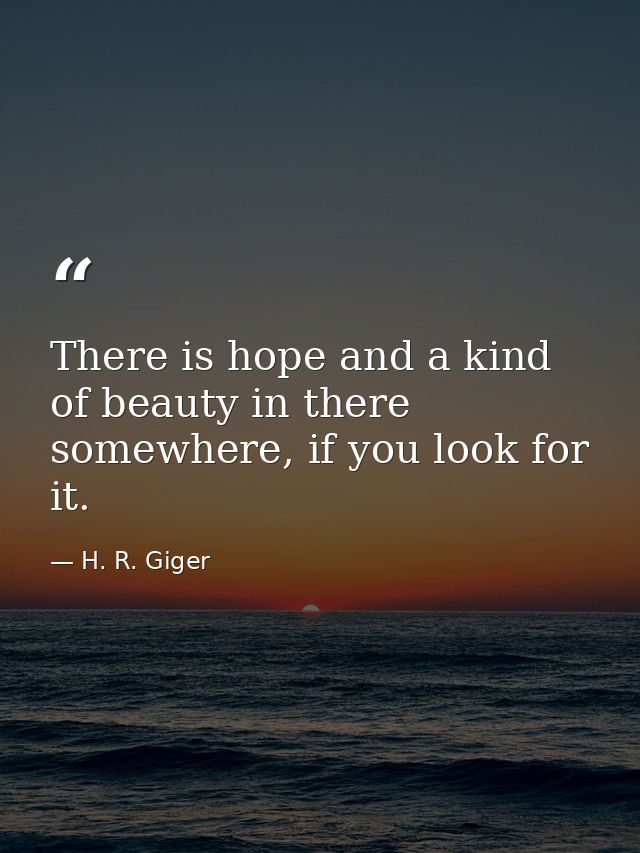 There is hope and a kind of beauty in there somewhere, if you look for it. — H. R. Giger