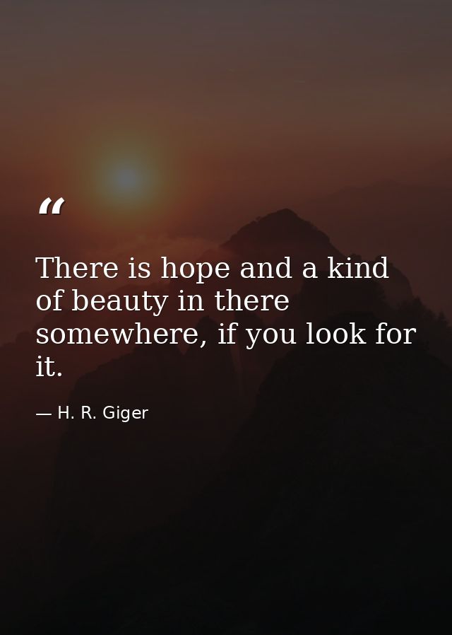 There is hope and a kind of beauty in there somewhere, if you look for it. — H. R. Giger
