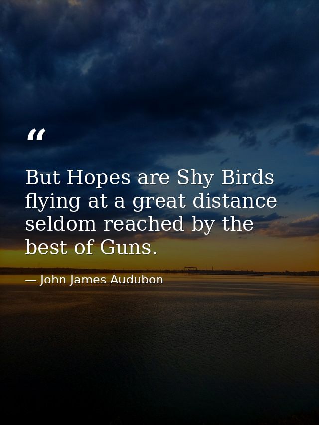 But Hopes are Shy Birds flying at a great distance seldom reached by the best of Guns. — John James Audubon