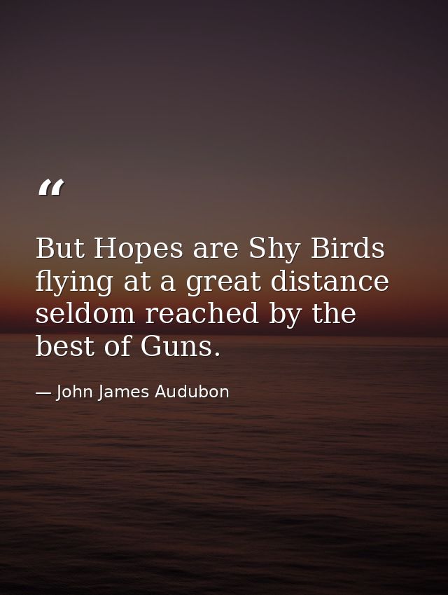 But Hopes are Shy Birds flying at a great distance seldom reached by the best of Guns. — John James Audubon