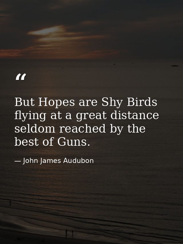 But Hopes are Shy Birds flying at a great distance seldom reached by the best of Guns. — John James Audubon