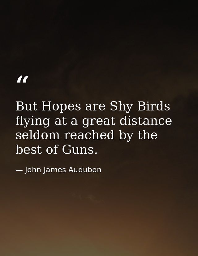 But Hopes are Shy Birds flying at a great distance seldom reached by the best of Guns. — John James Audubon