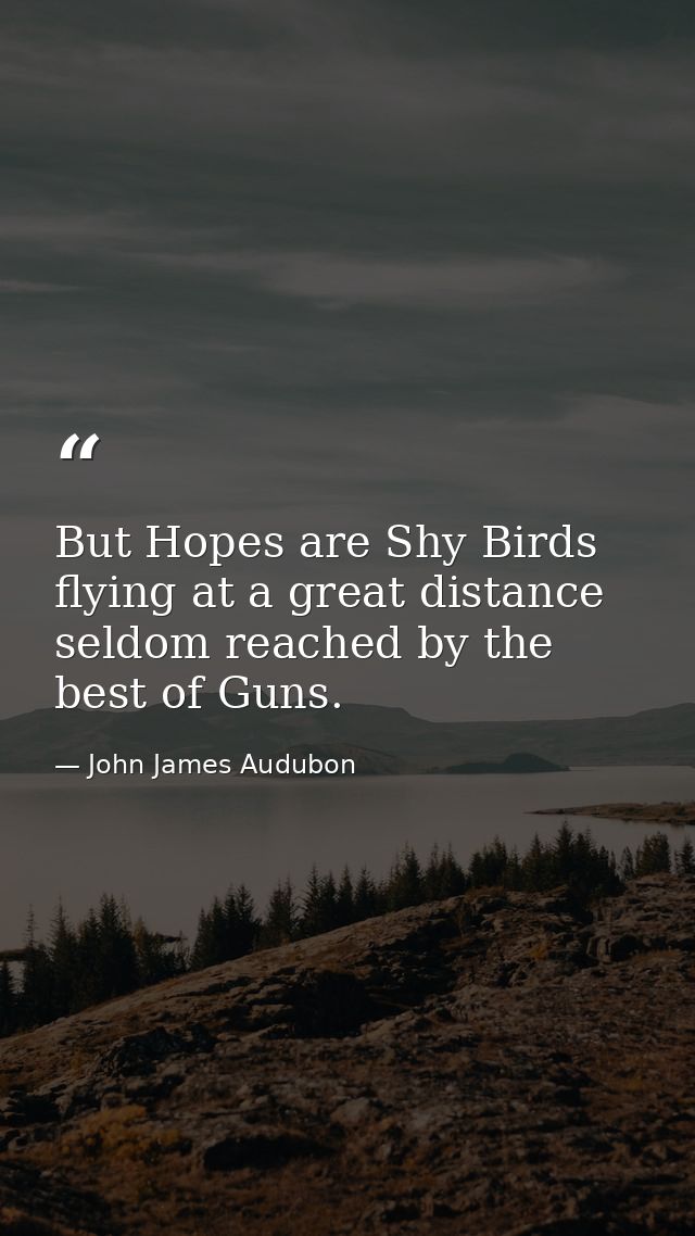 But Hopes are Shy Birds flying at a great distance seldom reached by the best of Guns. — John James Audubon