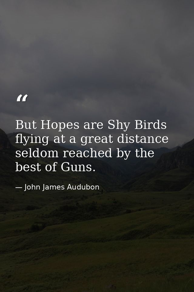 But Hopes are Shy Birds flying at a great distance seldom reached by the best of Guns. — John James Audubon