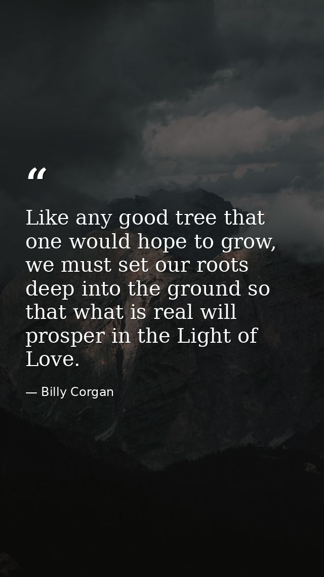 Like any good tree that one would hope to grow, we must set our roots deep into the ground so that what is real will pro — Billy Corgan