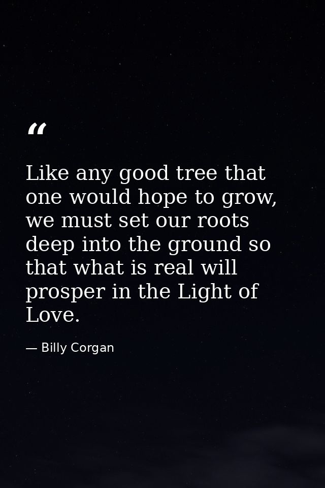 Like any good tree that one would hope to grow, we must set our roots deep into the ground so that what is real will pro — Billy Corgan