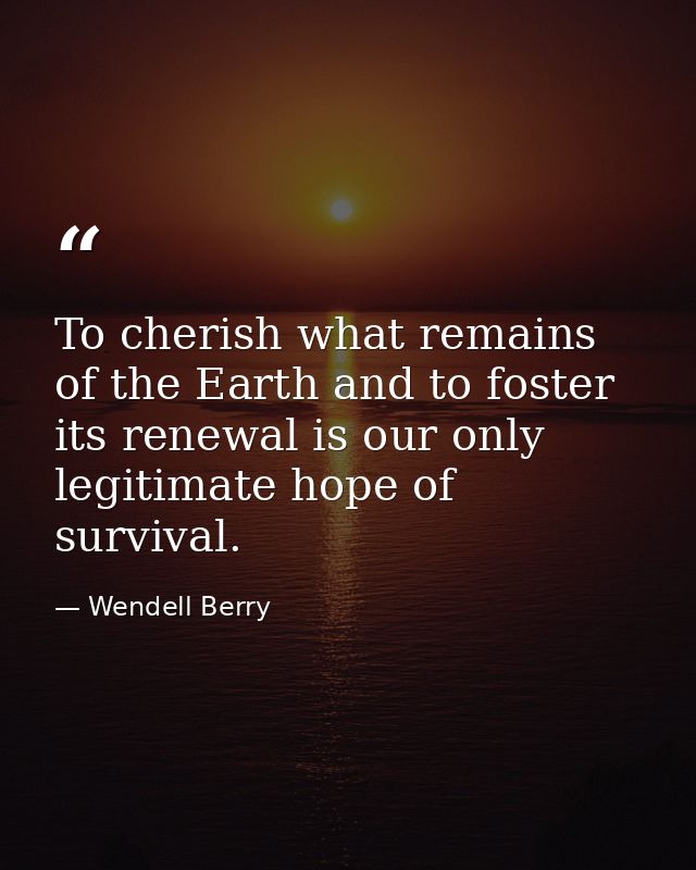 To cherish what remains of the Earth and to foster its renewal is our only legitimate hope of survival. — Wendell Berry