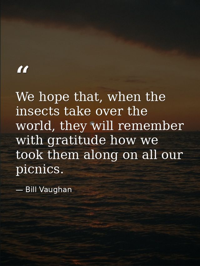 We hope that, when the insects take over the world, they will remember with gratitude how we took them along on all our  — Bill Vaughan