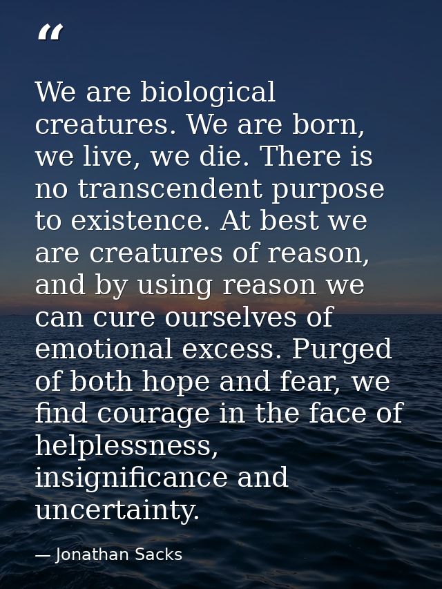 We are biological creatures. We are born, we live, we die. There is no transcendent purpose to existence. At best we are — Jonathan Sacks