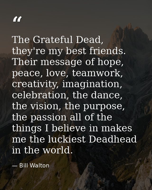 The Grateful Dead, they're my best friends. Their message of hope, peace, love, teamwork, creativity, imagination, celeb — Bill Walton