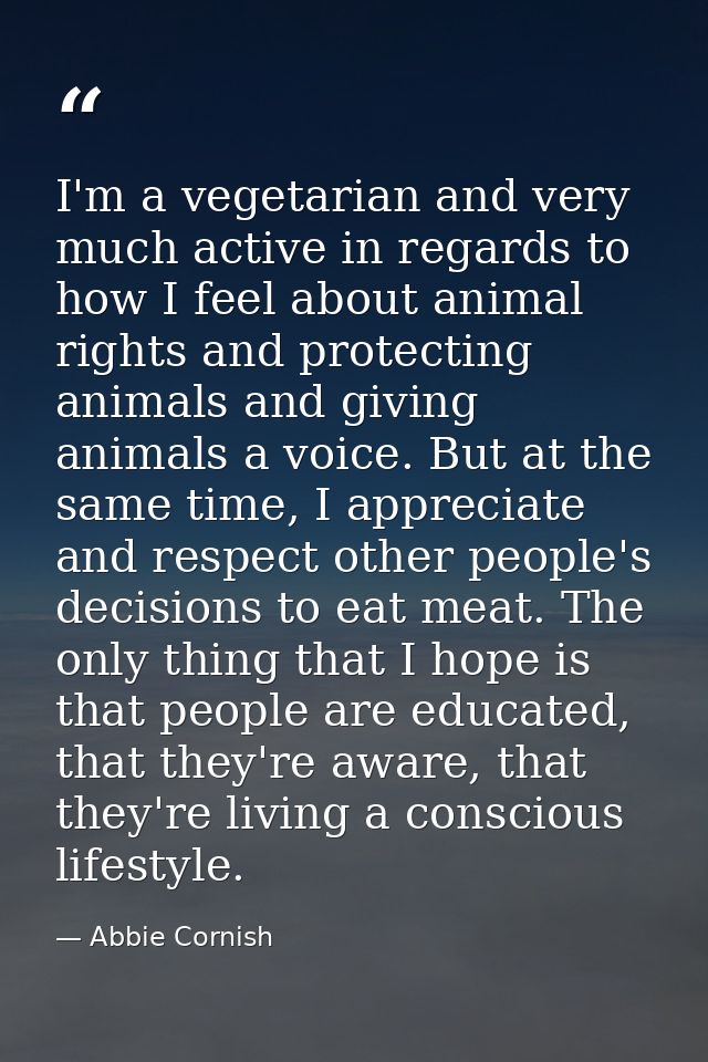 I'm a vegetarian and very much active in regards to how I feel about animal rights and protecting animals and giving ani — Abbie Cornish
