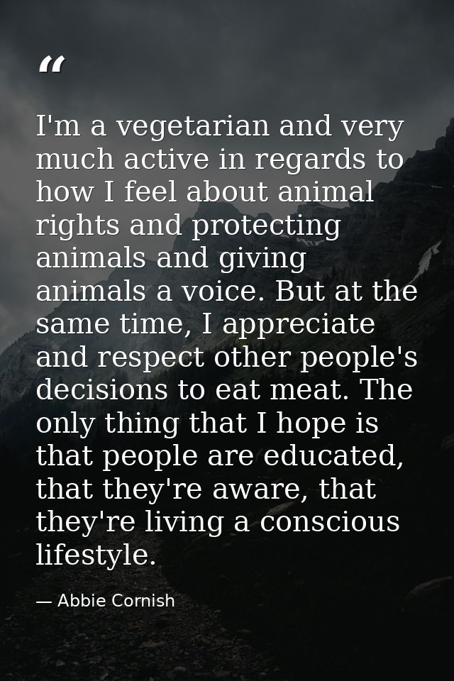 I'm a vegetarian and very much active in regards to how I feel about animal rights and protecting animals and giving ani — Abbie Cornish