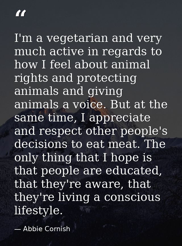 I'm a vegetarian and very much active in regards to how I feel about animal rights and protecting animals and giving ani — Abbie Cornish