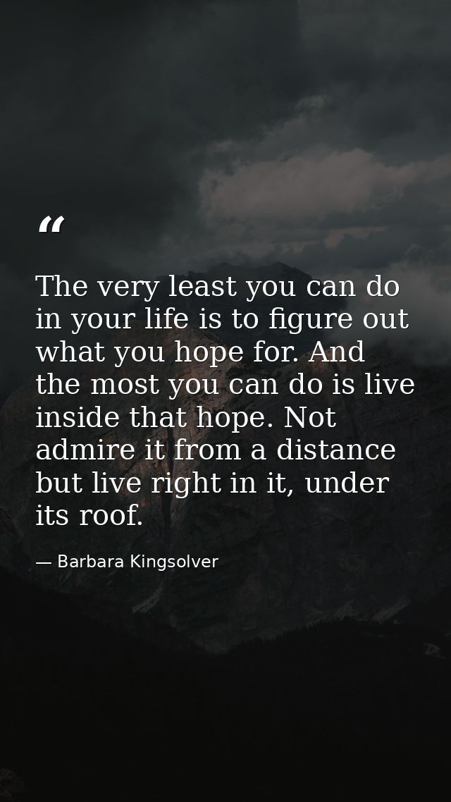 The very least you can do in your life is to figure out what you hope for. And the most you can do is live inside that h — Barbara Kingsolver
