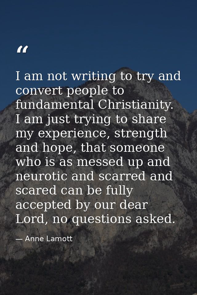 I am not writing to try and convert people to fundamental Christianity. I am just trying to share my experience, strengt — Anne Lamott