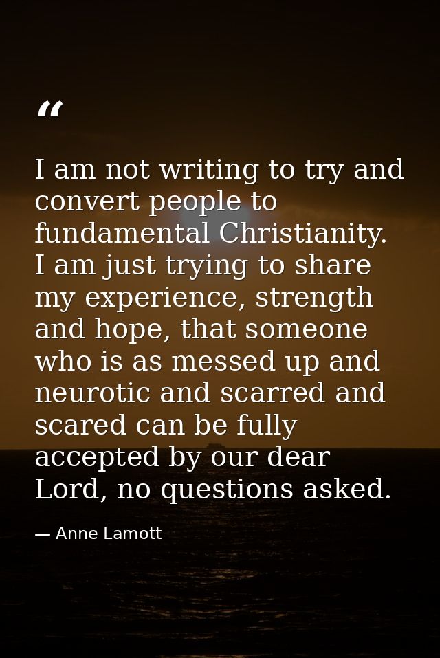 I am not writing to try and convert people to fundamental Christianity. I am just trying to share my experience, strengt — Anne Lamott