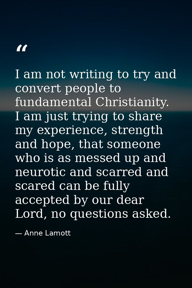 I am not writing to try and convert people to fundamental Christianity. I am just trying to share my experience, strengt — Anne Lamott