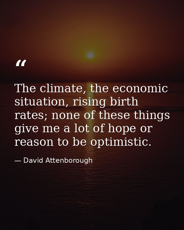 The climate, the economic situation, rising birth rates; none of these things give me a lot of hope or reason to be opti — David Attenborough