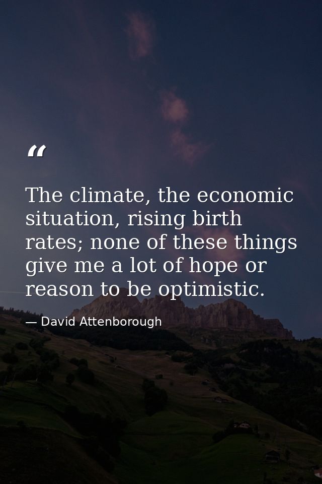 The climate, the economic situation, rising birth rates; none of these things give me a lot of hope or reason to be opti — David Attenborough