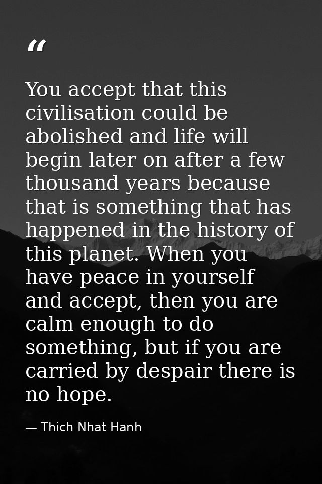 You accept that this civilisation could be abolished and life will begin later on after a few thousand years because tha — Thich Nhat Hanh