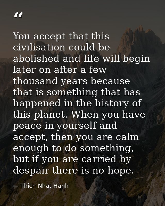 You accept that this civilisation could be abolished and life will begin later on after a few thousand years because tha — Thich Nhat Hanh