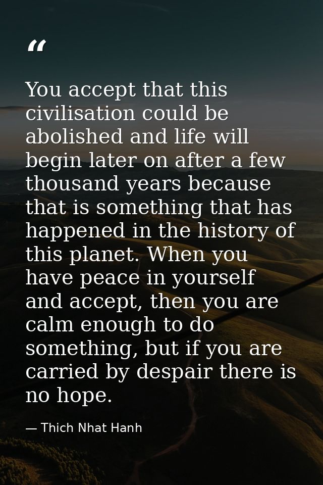 You accept that this civilisation could be abolished and life will begin later on after a few thousand years because tha — Thich Nhat Hanh