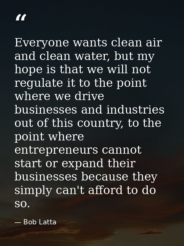 Everyone wants clean air and clean water, but my hope is that we will not regulate it to the point where we drive busine — Bob Latta