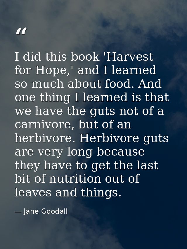 I did this book 'Harvest for Hope,' and I learned so much about food. And one thing I learned is that we have the guts n — Jane Goodall