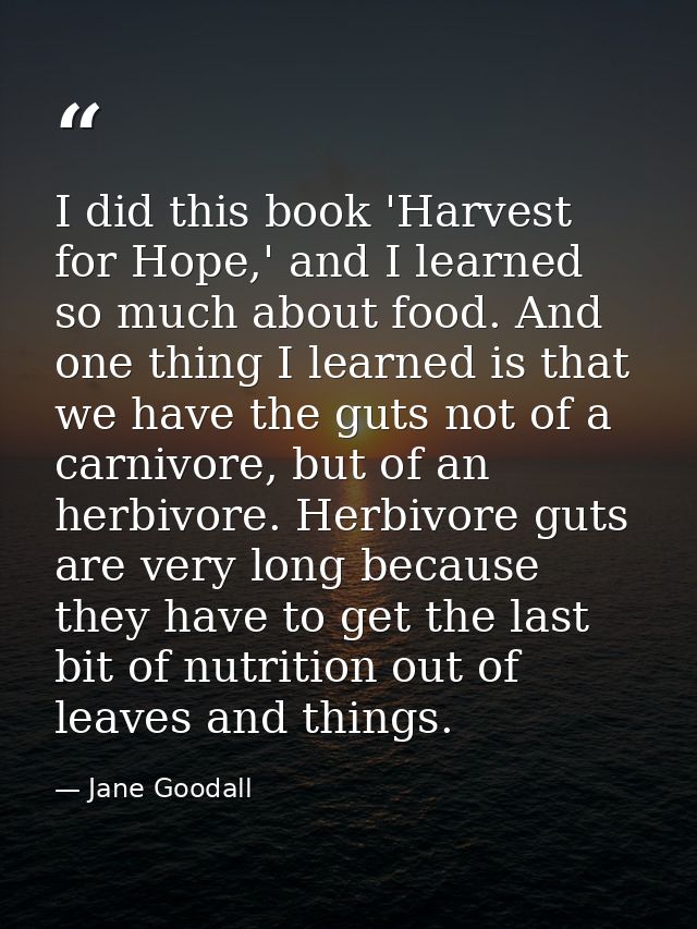 I did this book 'Harvest for Hope,' and I learned so much about food. And one thing I learned is that we have the guts n — Jane Goodall