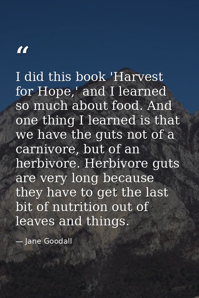 I did this book 'Harvest for Hope,' and I learned so much about food. And one thing I learned is that we have the guts n — Jane Goodall