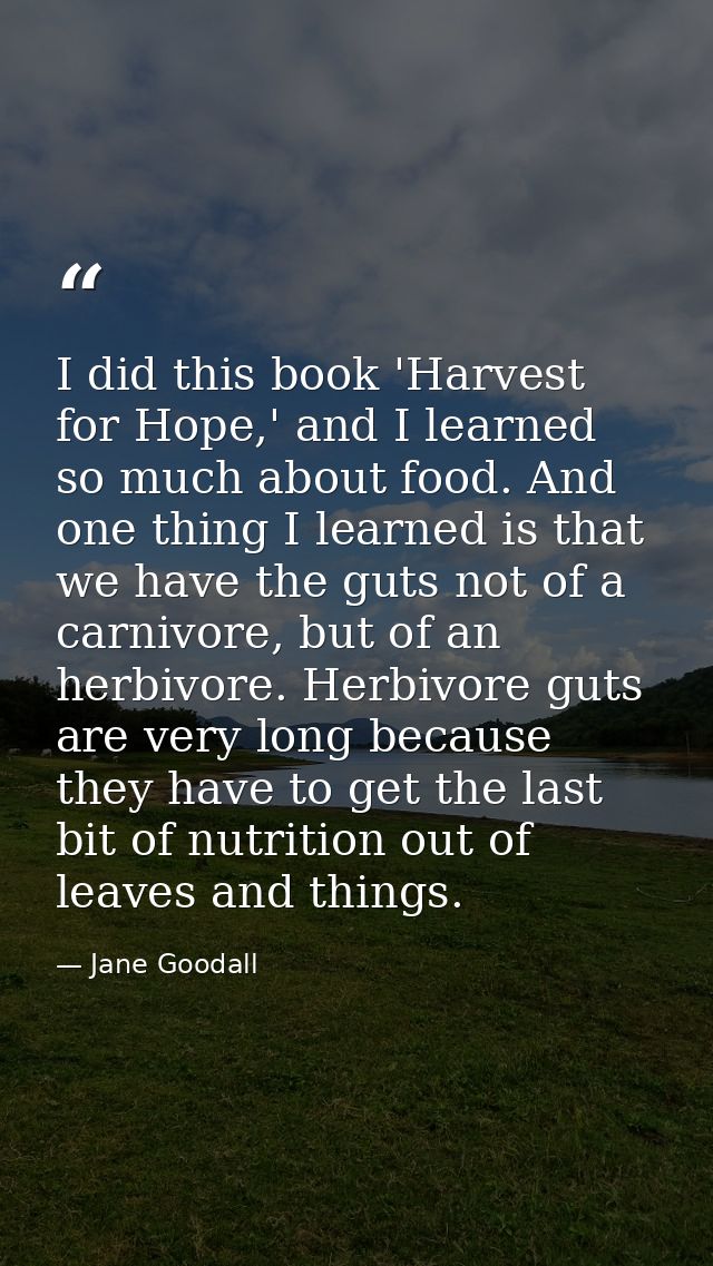 I did this book 'Harvest for Hope,' and I learned so much about food. And one thing I learned is that we have the guts n — Jane Goodall