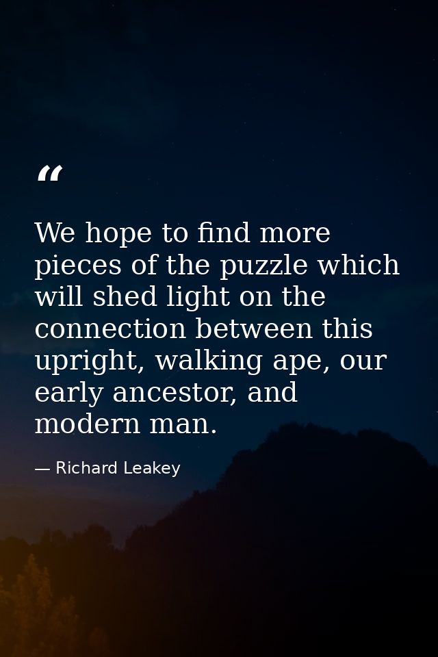 We hope to find more pieces of the puzzle which will shed light on the connection between this upright, walking ape, our — Richard Leakey