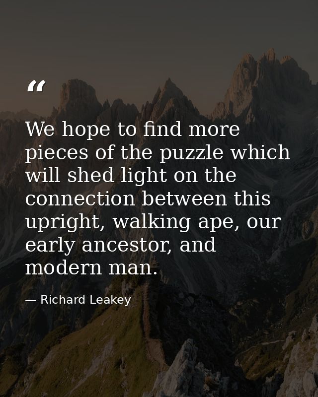 We hope to find more pieces of the puzzle which will shed light on the connection between this upright, walking ape, our — Richard Leakey