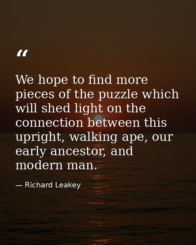 We hope to find more pieces of the puzzle which will shed light on the connection between this upright, walking ape, our — Richard Leakey