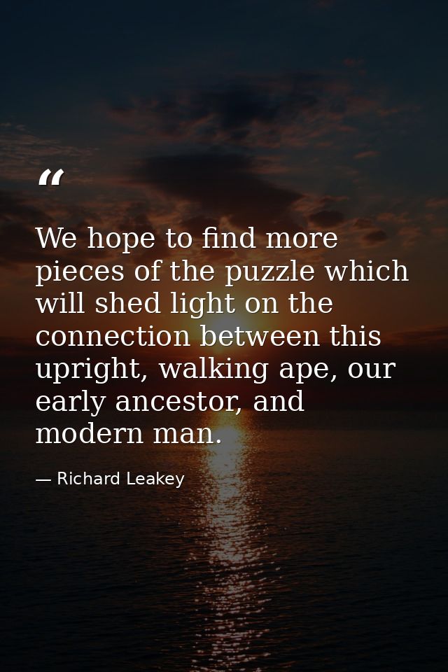 We hope to find more pieces of the puzzle which will shed light on the connection between this upright, walking ape, our — Richard Leakey