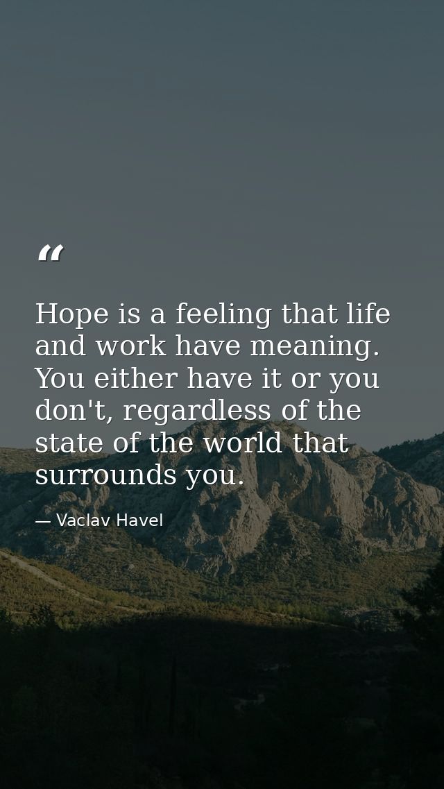 Hope is a feeling that life and work have meaning. You either have it or you don't, regardless of the state of the world — Vaclav Havel