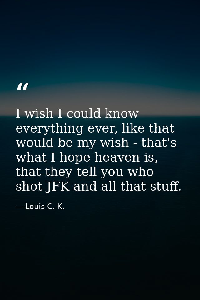 I wish I could know everything ever, like that would be my wish - that's what I hope heaven is, that they tell you who s — Louis C. K.