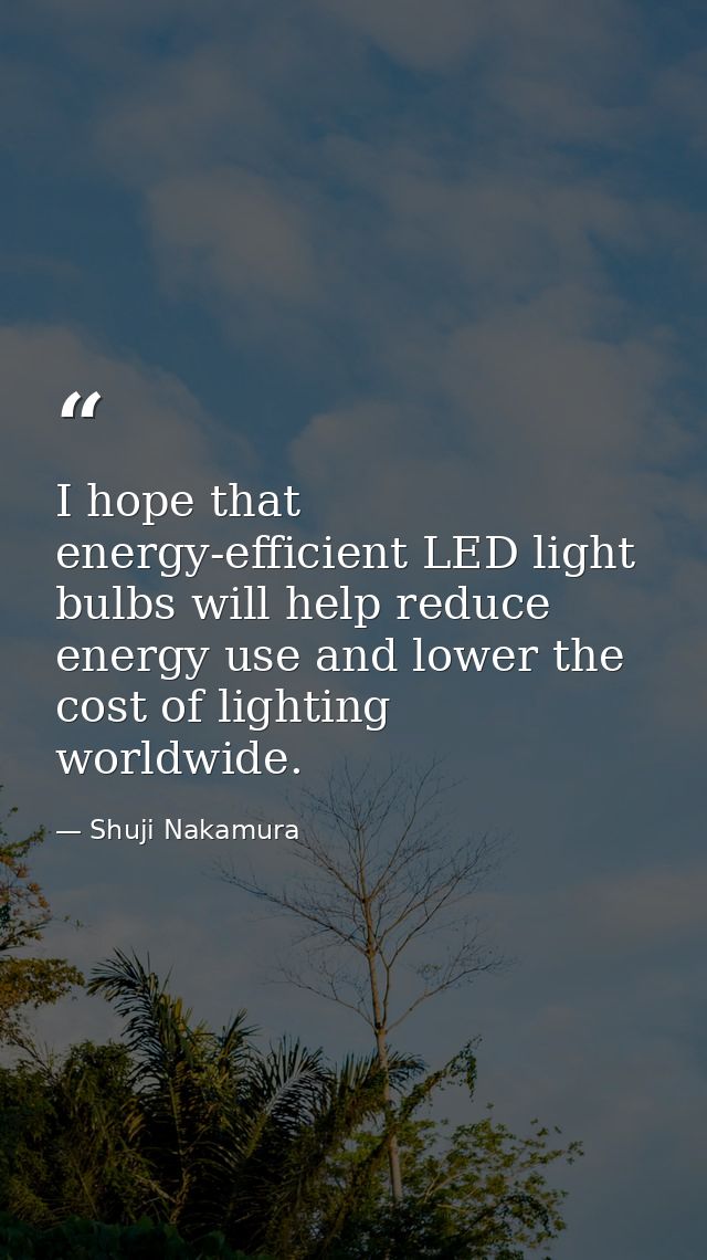 I hope that energy-efficient LED light bulbs will help reduce energy use and lower the cost of lighting worldwide. — Shuji Nakamura
