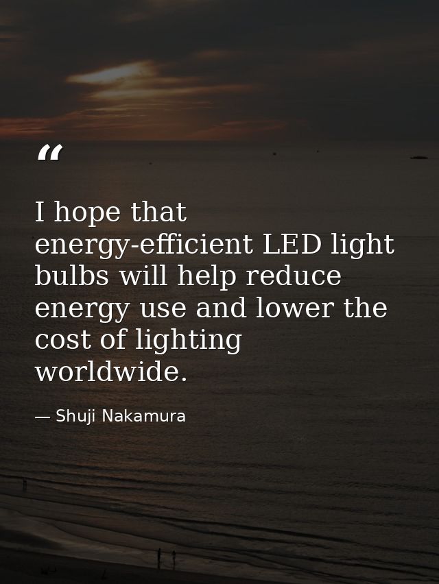 I hope that energy-efficient LED light bulbs will help reduce energy use and lower the cost of lighting worldwide. — Shuji Nakamura