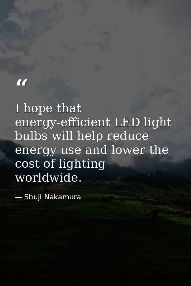 I hope that energy-efficient LED light bulbs will help reduce energy use and lower the cost of lighting worldwide. — Shuji Nakamura