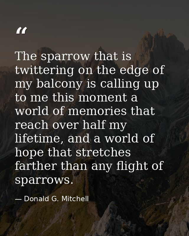 The sparrow that is twittering on the edge of my balcony is calling up to me this moment a world of memories that reach  — Donald G. Mitchell