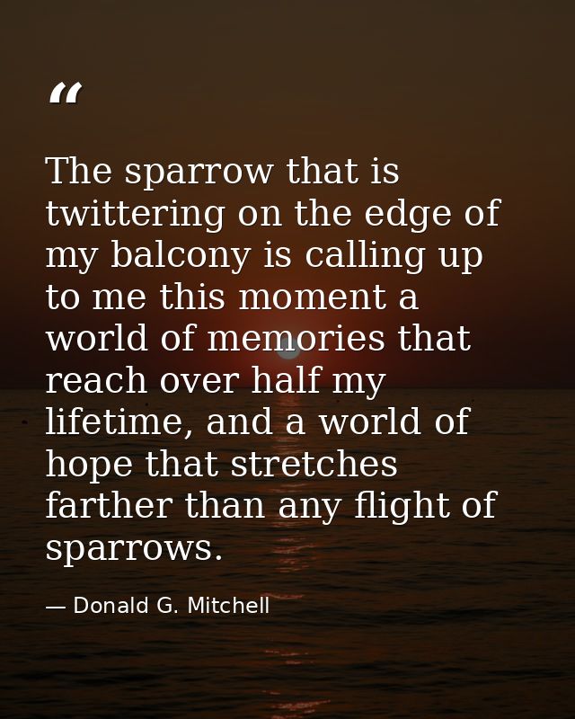 The sparrow that is twittering on the edge of my balcony is calling up to me this moment a world of memories that reach  — Donald G. Mitchell