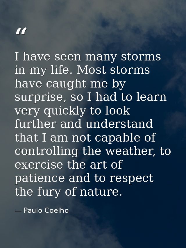 I have seen many storms in my life. Most storms have caught me by surprise, so I had to learn very quickly to look furth — Paulo Coelho
