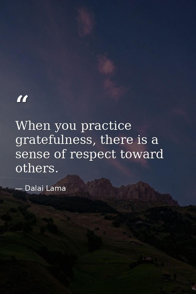 When you practice gratefulness, there is a sense of respect toward others. — Dalai Lama