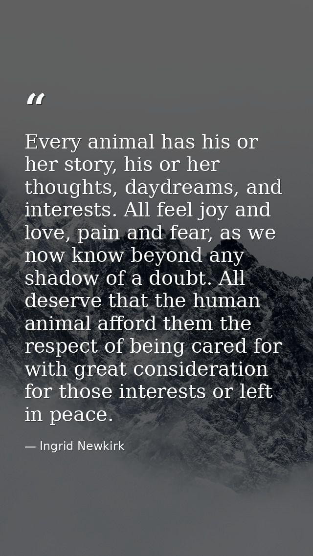 Every animal has his or her story, his or her thoughts, daydreams, and interests. All feel joy and love, pain and fear,  — Ingrid Newkirk