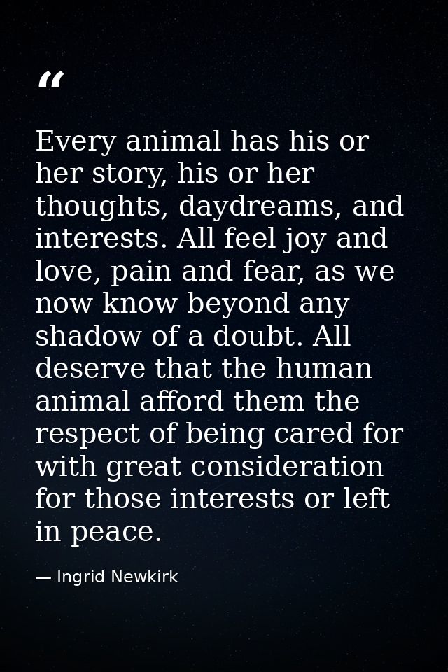 Every animal has his or her story, his or her thoughts, daydreams, and interests. All feel joy and love, pain and fear,  — Ingrid Newkirk