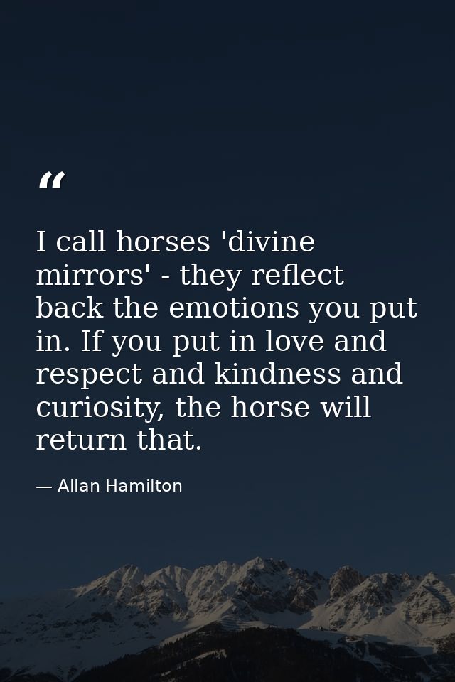 I call horses 'divine mirrors' - they reflect back the emotions you put in. If you put in love and respect and kindness  — Allan Hamilton